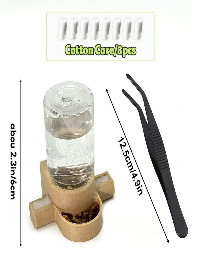Julang Jumping Spider Accessories, Jumping Spider Water Dispenser, Magnetic Hanging Feeder with Tweezers for Jumping Spiders, Tarantulas, Praying, Mantises (Beige) - Image 2